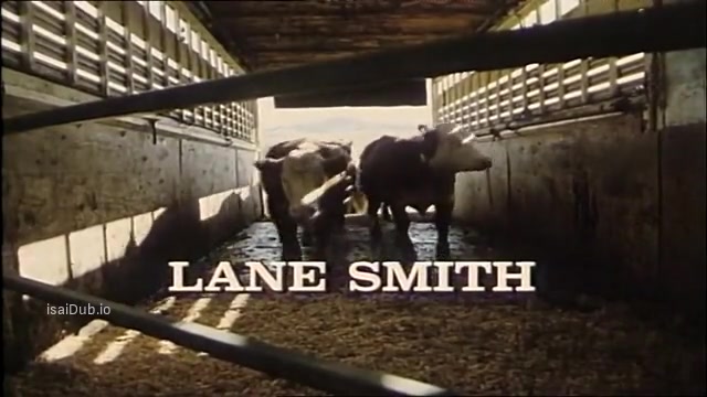 Beverly Hills Cowgirl Blues 1985 Original 360p HD.mp4