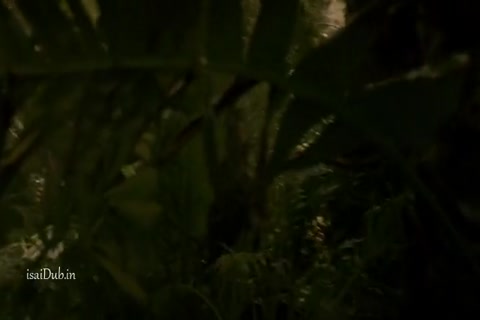 Fear The Walking Dead Season 2 (Epi 06) HD.mp4