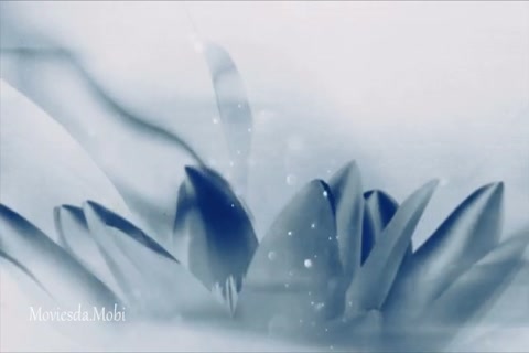 The Untamed Season 1 Episode 49 HD.mp4