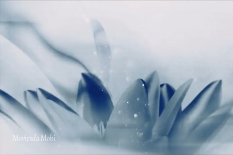 The Untamed Season 1 Episode 50 HD.mp4