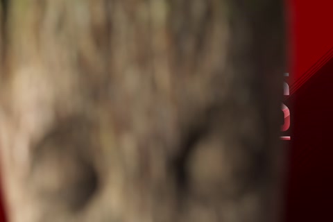 I Am Groot Season 01 (Epi 03).mp4